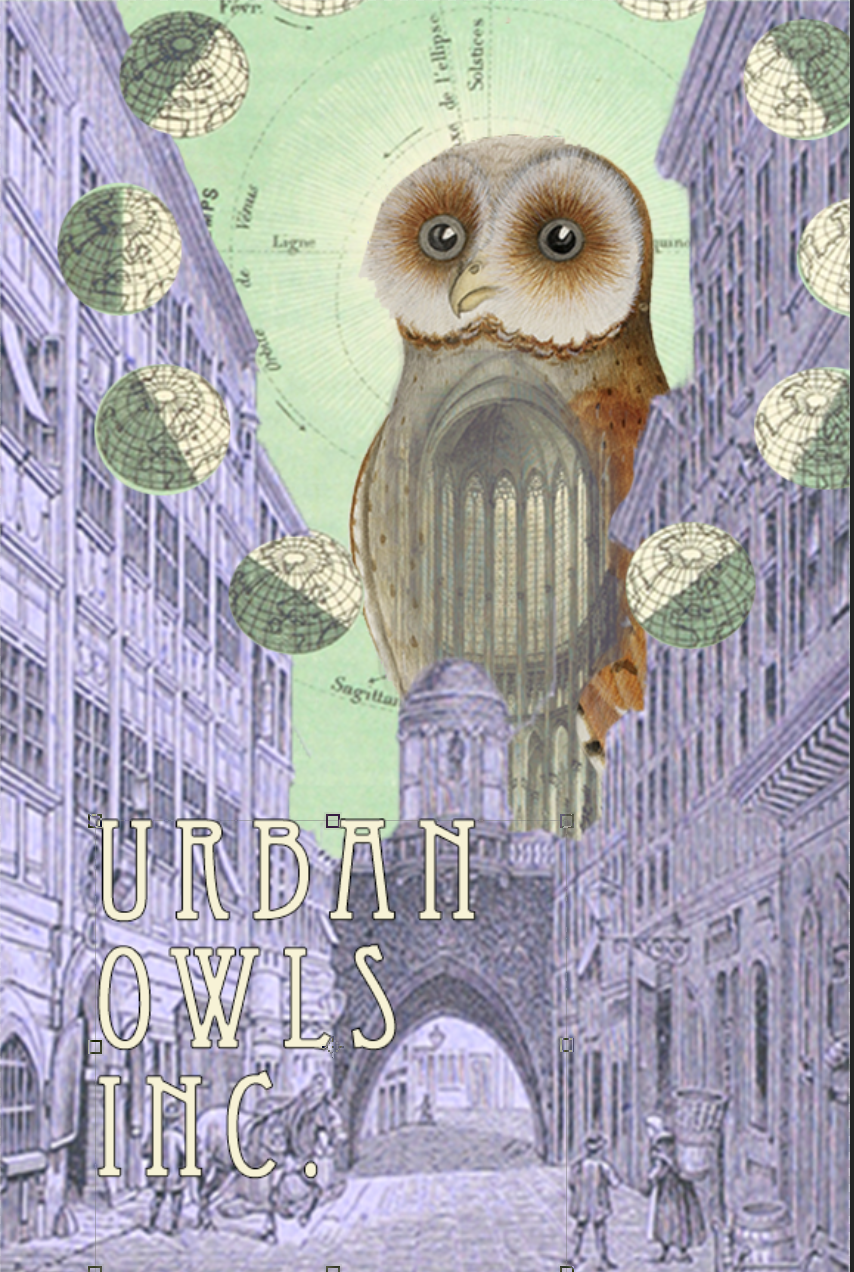 Urban Owls