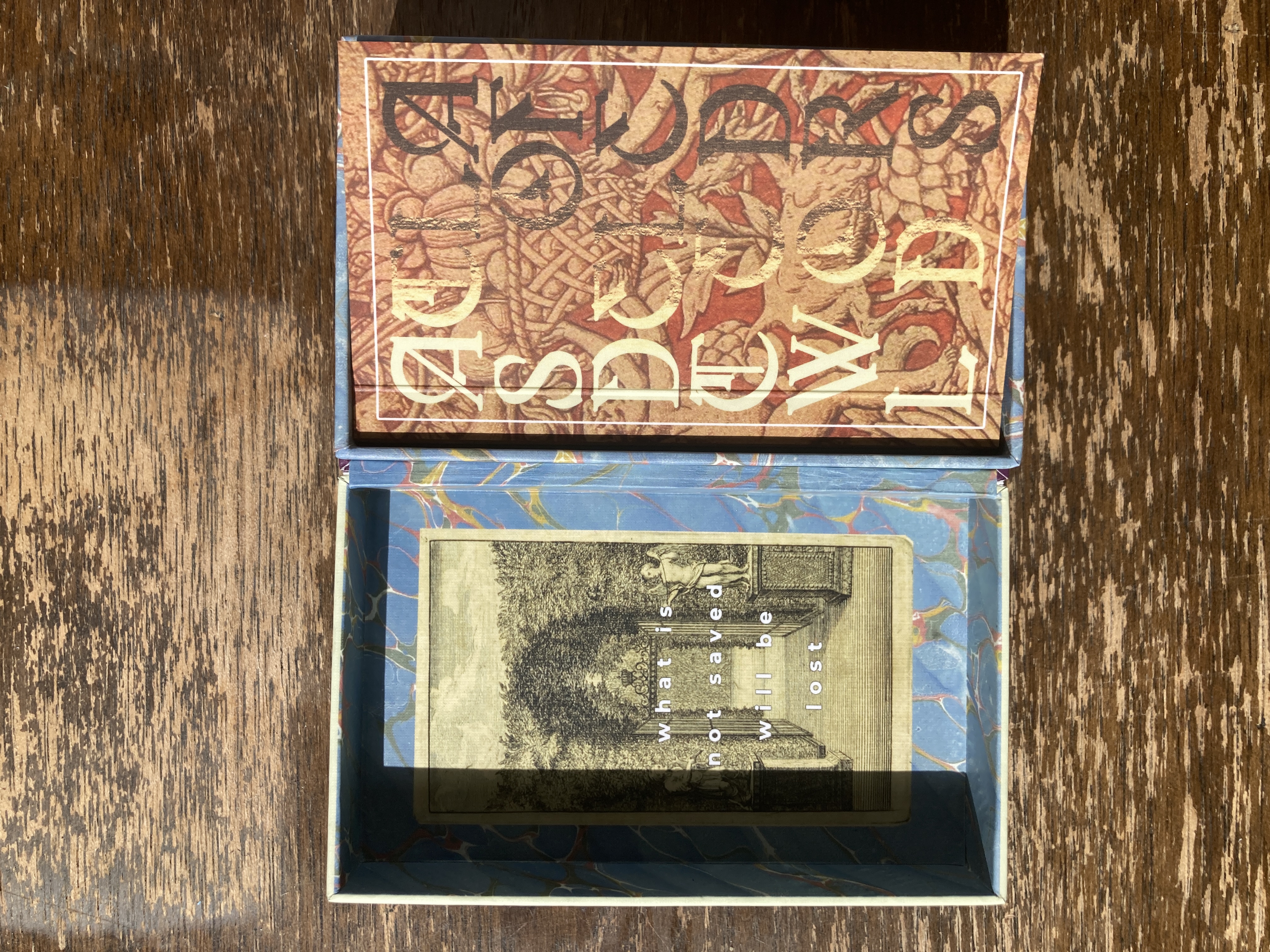 Deleted World Tarot — Box interior